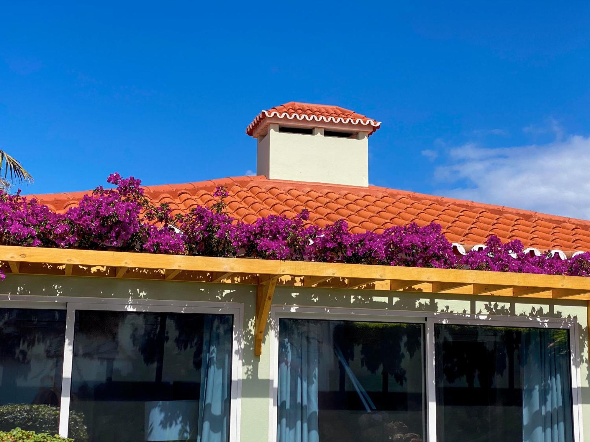 Terra Vivaz - Ribeira Cottage ฮิเบย์รา กรันเจ ภายนอก รูปภาพ