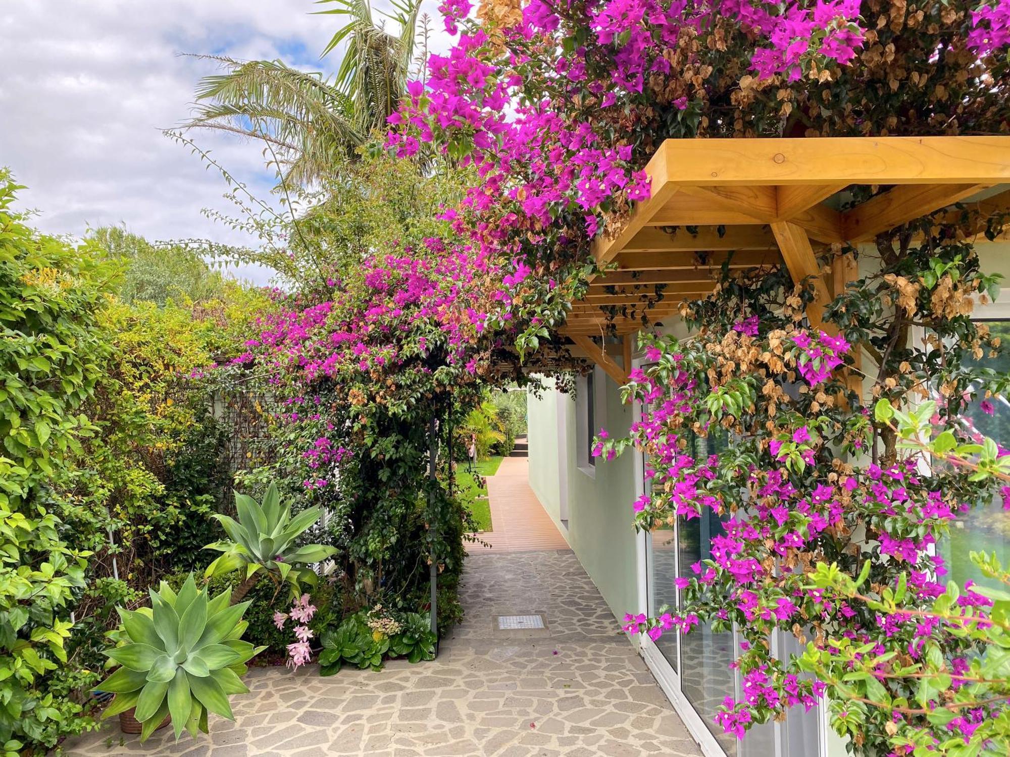 Terra Vivaz - Ribeira Cottage ฮิเบย์รา กรันเจ ภายนอก รูปภาพ